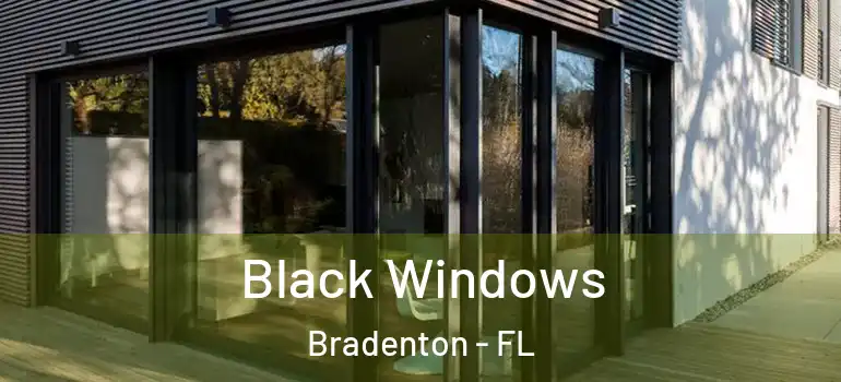  Black Windows Bradenton - FL