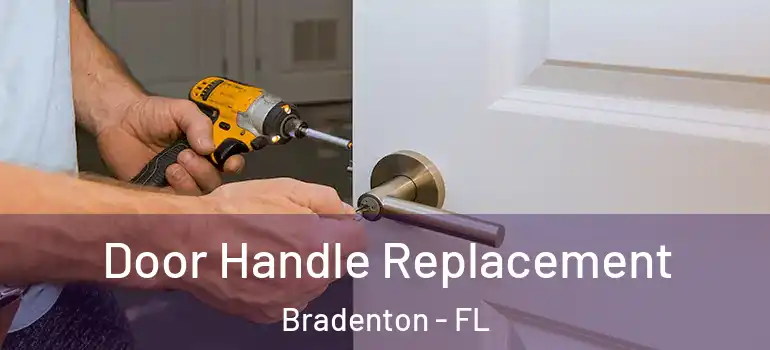  Door Handle Replacement Bradenton - FL