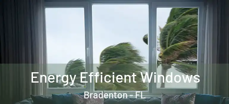  Energy Efficient Windows Bradenton - FL