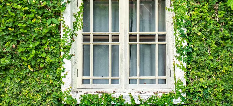 Garden Window Repair Near Me in Bradenton, FL