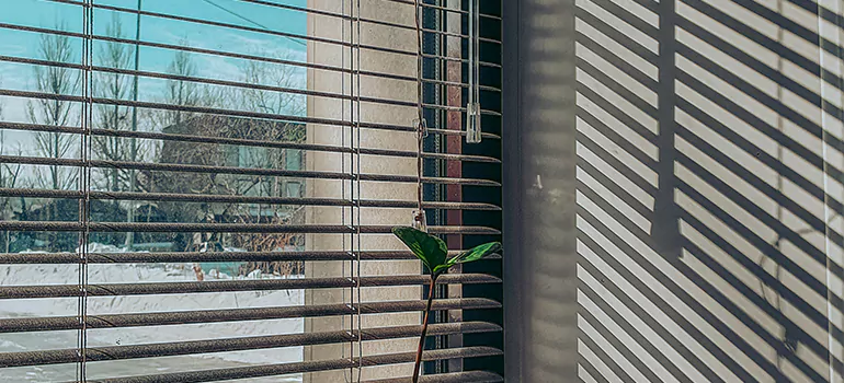 Commercial Window Blinds in Bradenton, FL