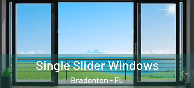  Single Slider Windows Bradenton - FL