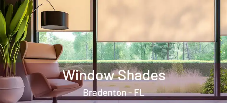  Window Shades Bradenton - FL
